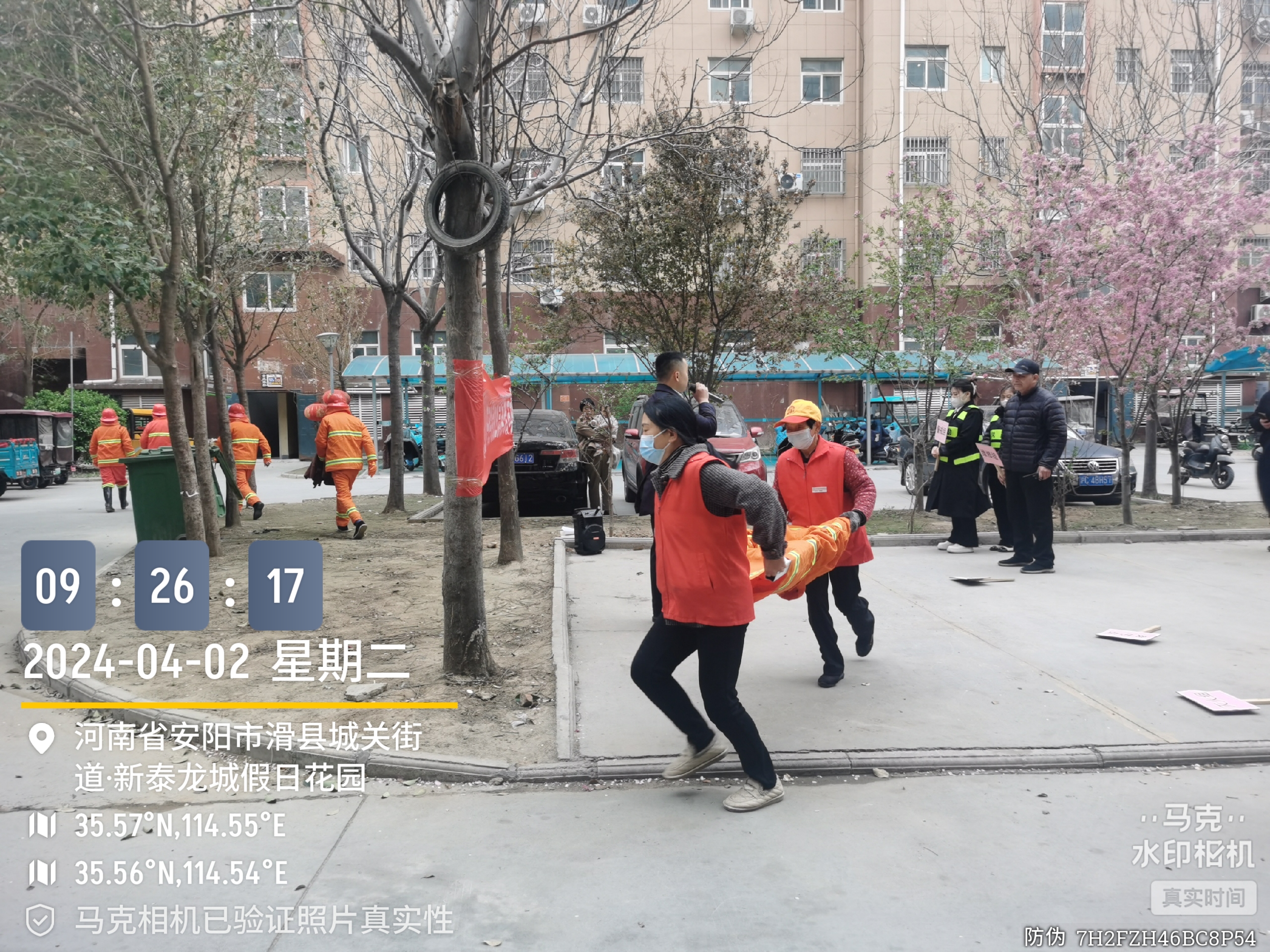 深中通道深中大桥一货车起火无人员伤亡正有序恢复交通(图1)