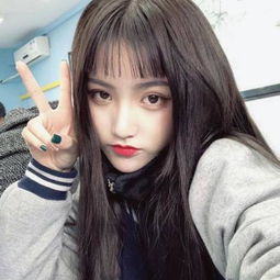 49图库澳门彩资料(图1)