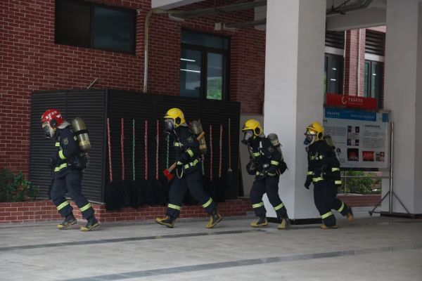 青鸟资讯 消防与应急救援国家工程研究中心2024年度工作会议成功举办(图1)