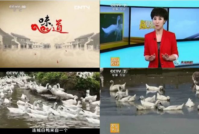 冬天使劲吃它！号称“天然灭火器”超滋补、胆固醇还低！(图12)