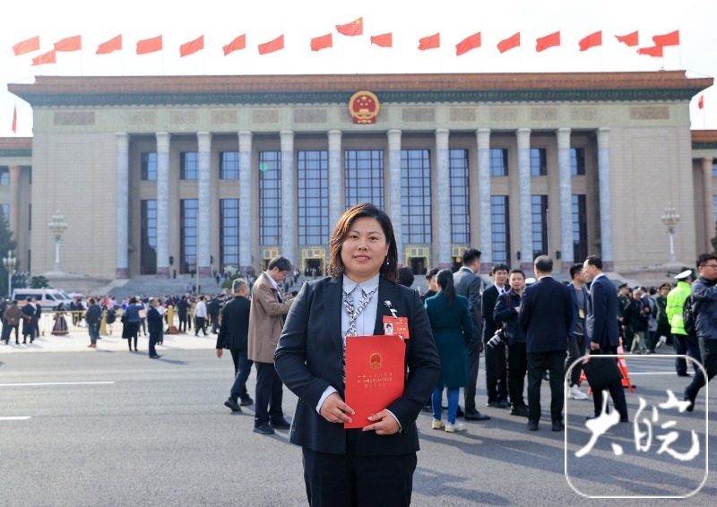 代表委员风采丨全国人大代表李杨：期待电气下乡并给与一定补贴(图1)