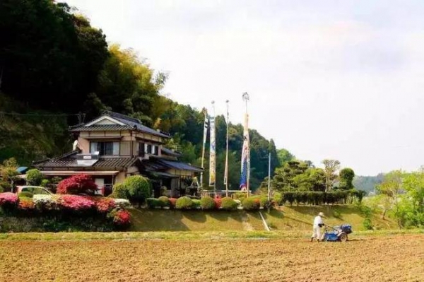 中国年轻人捡漏日本百年老宅(图5)