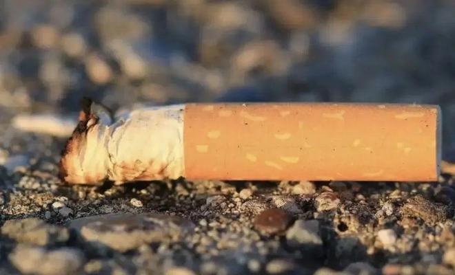 警惕！崇明人请收好这条防火攻略(图1)