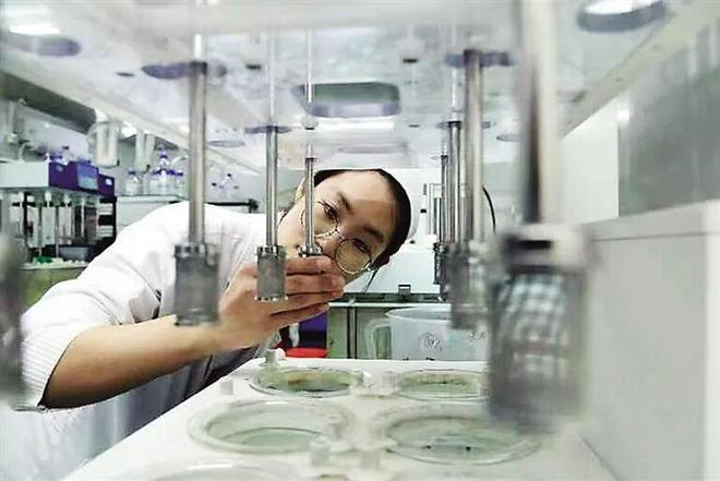 开拓新赛道 实现“加速跑”(图2)