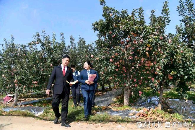 山村邮局变身法律驿站：大山深处的法邮协奏曲(图1)