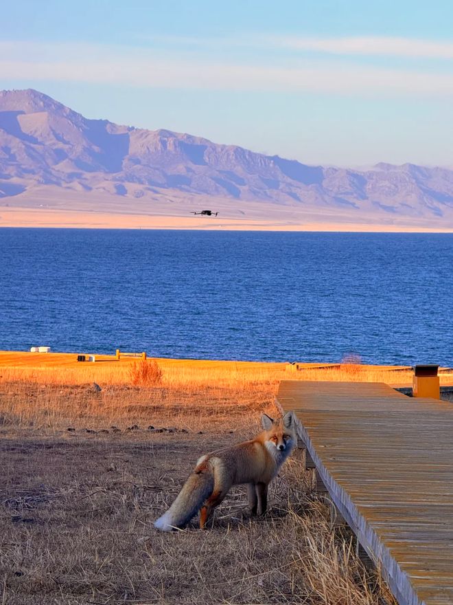 2025秋冬新疆旅游团报价10日游：10天纯玩团真实报价避坑指南(图1)