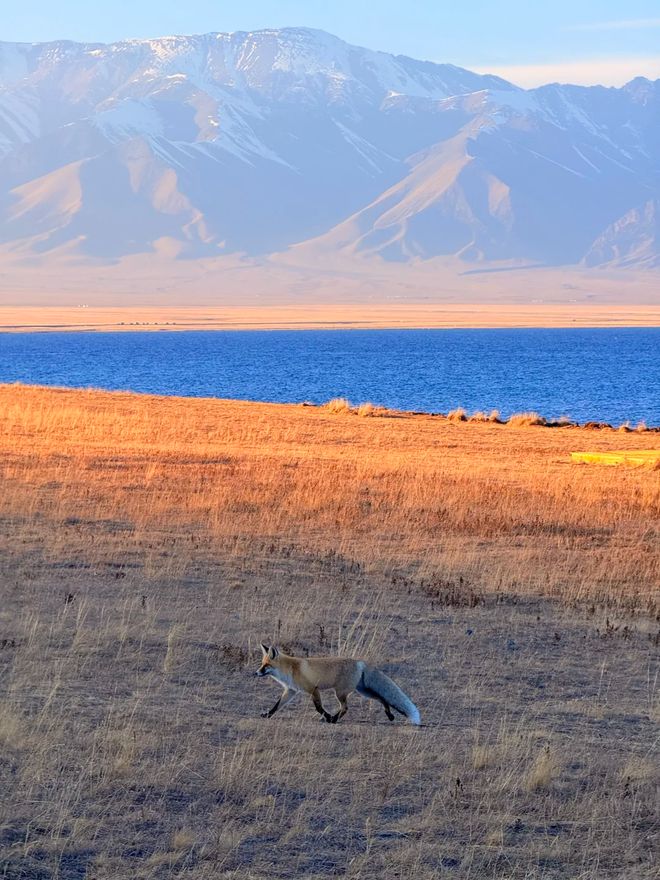 2025秋冬新疆旅游团报价10日游：10天纯玩团真实报价避坑指南(图2)