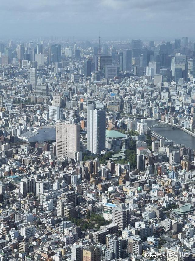 太敢说了！日本创业率腰斩当老板血本无归和美国踩同一个坑？(图7)