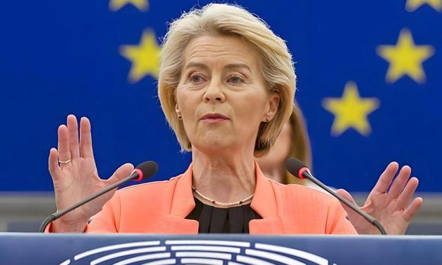 马克龙回国下战书欧盟对华脱钩？德外长赴华求助中方一语定心(图4)