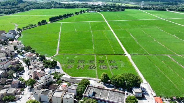 中山：打造环五桂山高质量发展引领区激活农文旅融合发展新引擎(图7)