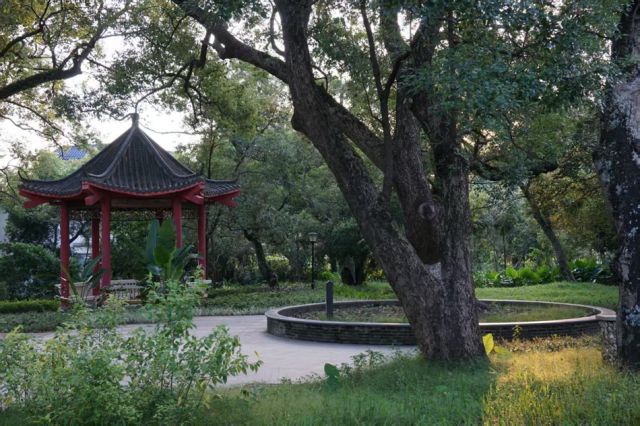 中山：打造环五桂山高质量发展引领区激活农文旅融合发展新引擎(图6)