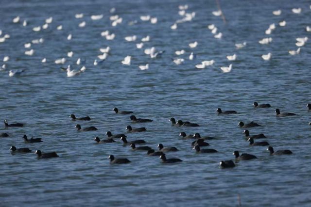 中山：打造环五桂山高质量发展引领区激活农文旅融合发展新引擎(图5)