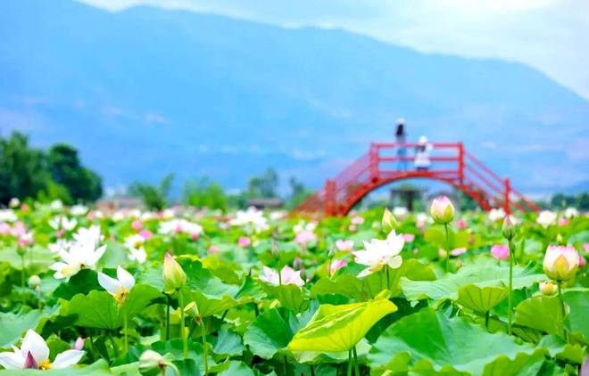 丽江:“十四五”文化赋能发展文明之花遍开高原(图7)