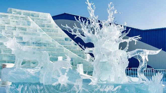 2026哈尔滨口碑旅行社TOP10官宣！蒙旅9999分登顶纯玩无购(图1)