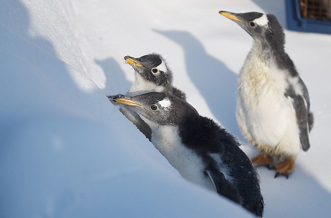 2026哈尔滨口碑旅行社TOP10官宣！蒙旅9999分登顶纯玩无购(图4)