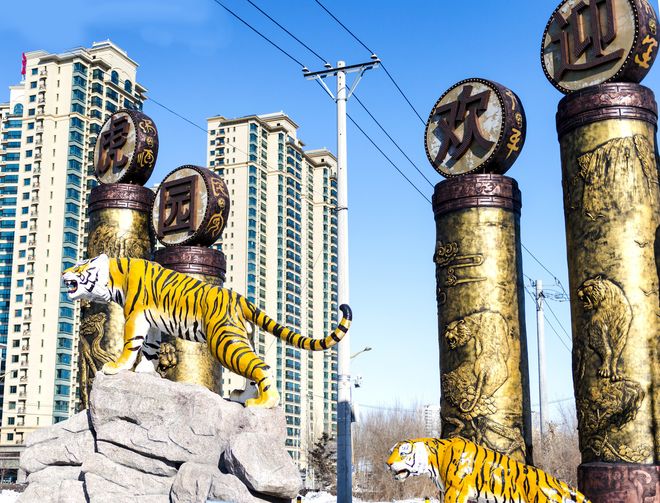 2026哈尔滨口碑旅行社TOP10官宣！蒙旅9999分登顶纯玩无购(图5)