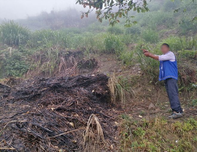 舟山陈某某行政拘留10日！(图2)