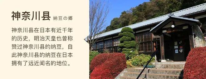 日本黑科技纳豆激酶PLUS+给血管做“大扫除”！(图22)