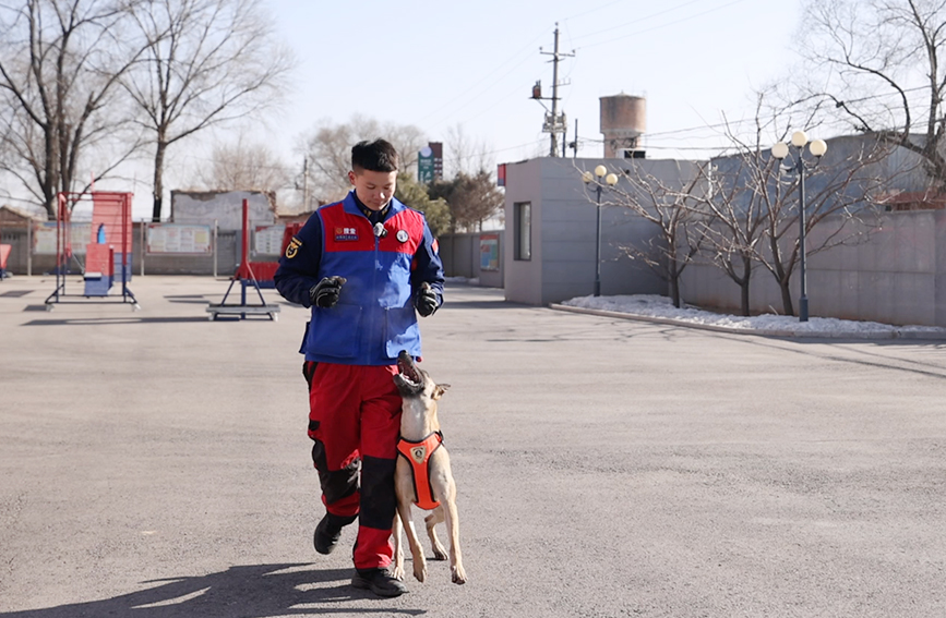 新春走基層丨消防員與“無言戰友”的日與夜(图1)