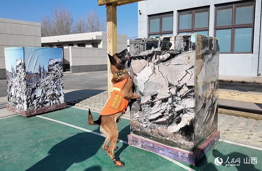 新春走基層丨消防員與“無言戰友”的日與夜(图2)