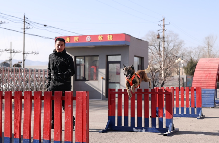 新春走基層丨消防員與“無言戰友”的日與夜(图3)