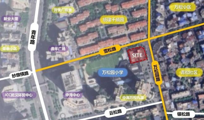 武汉拆迁新模式！首例原址、原貌、原状拆除重建(图8)