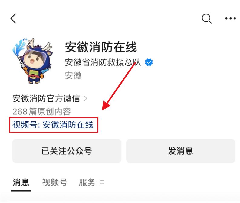 2024中小学消防公开课网络直播回放在哪里看？(图3)